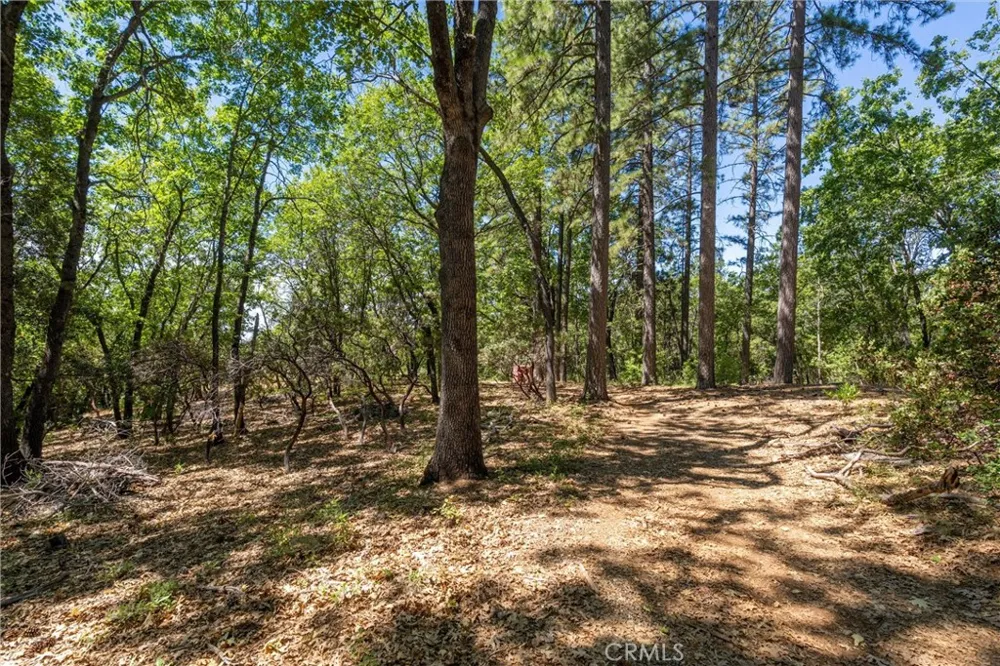 Knolls Forest Ranch, CA 95942