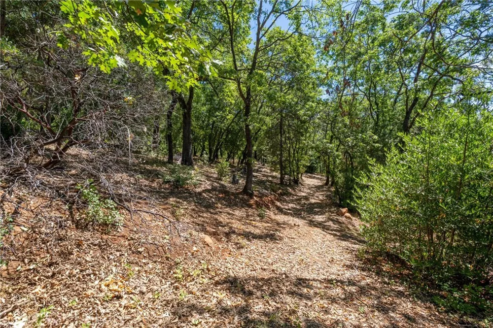 Knolls Forest Ranch, CA 95942