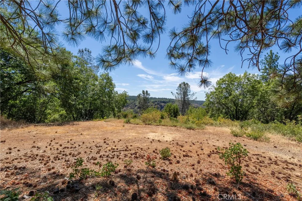 Knolls Forest Ranch, CA 95942
