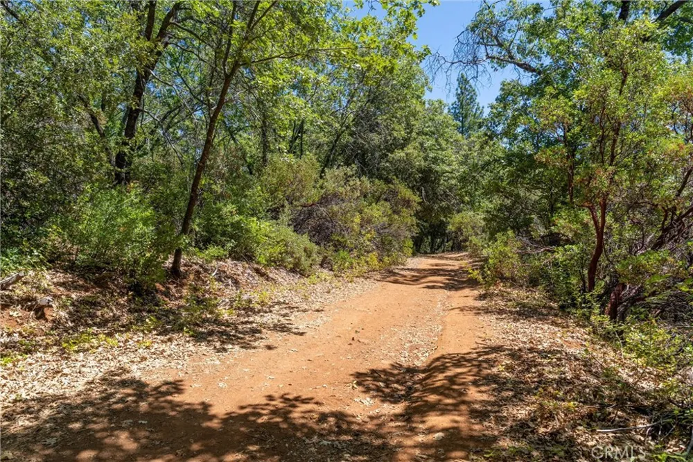 Knolls Forest Ranch, CA 95942