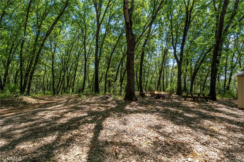 Knolls Forest Ranch, CA 95942