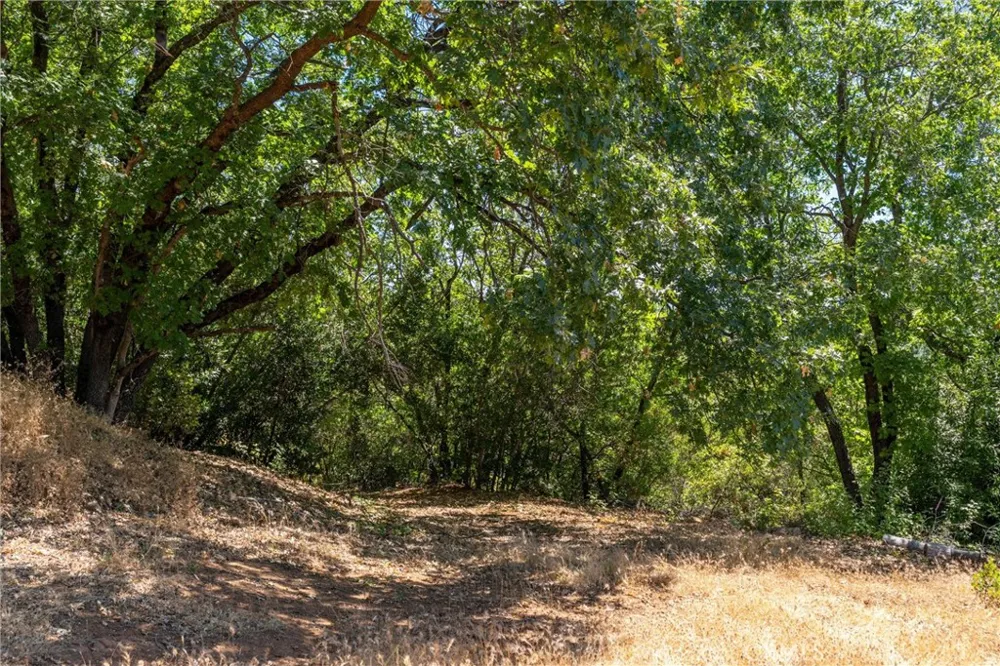Knolls Forest Ranch, CA 95942