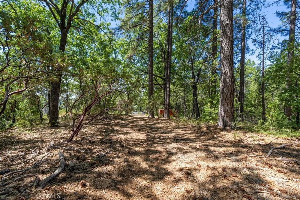 Knolls Forest Ranch, CA 95942