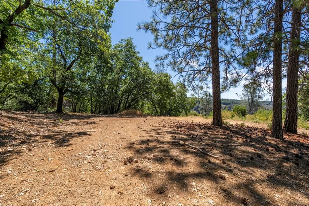 Knolls Forest Ranch, CA 95942
