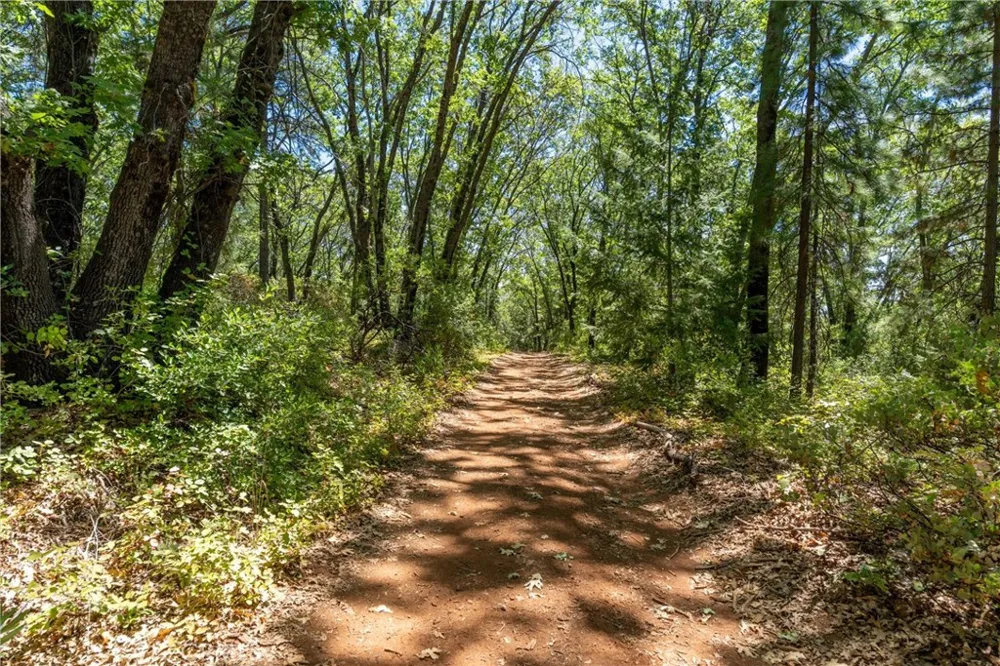 Knolls Forest Ranch, CA 95942