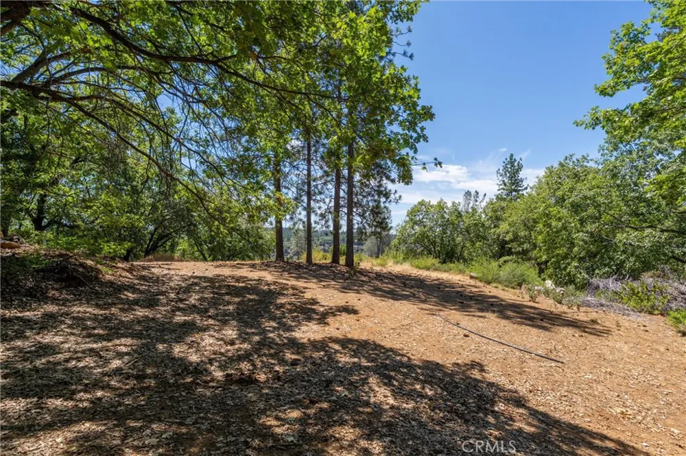 Knolls Forest Ranch, CA 95942