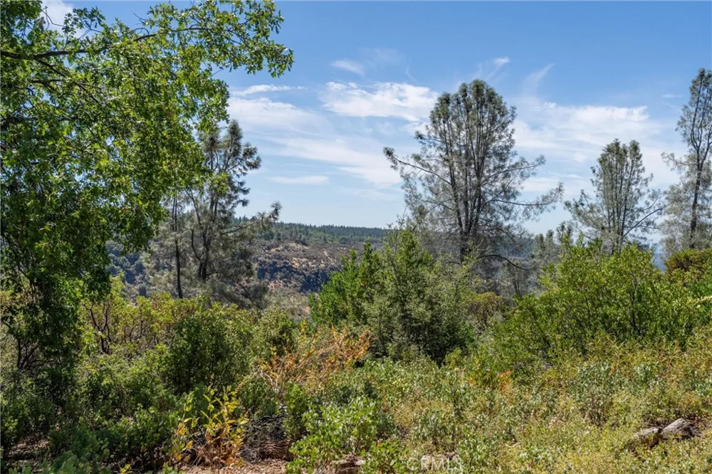 Knolls Forest Ranch, CA 95942