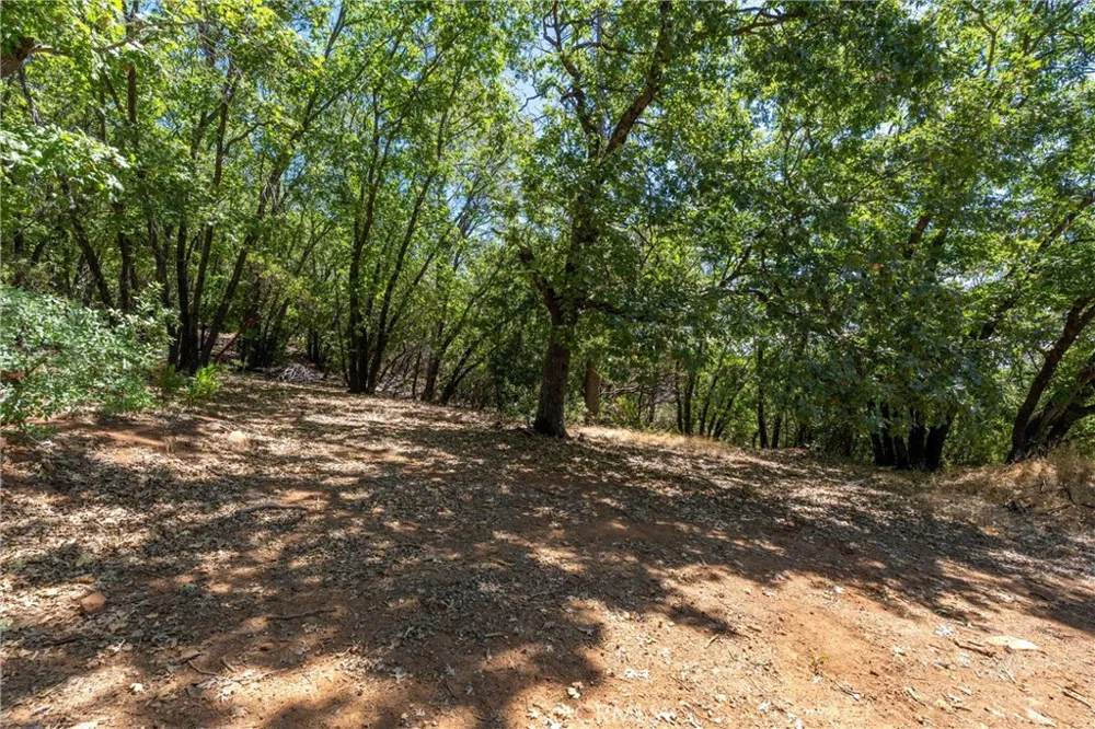 Knolls Forest Ranch, CA 95942