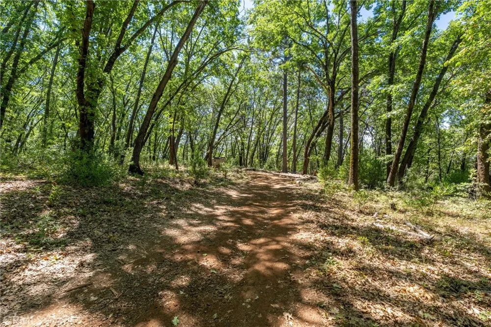 Knolls Forest Ranch, CA 95942