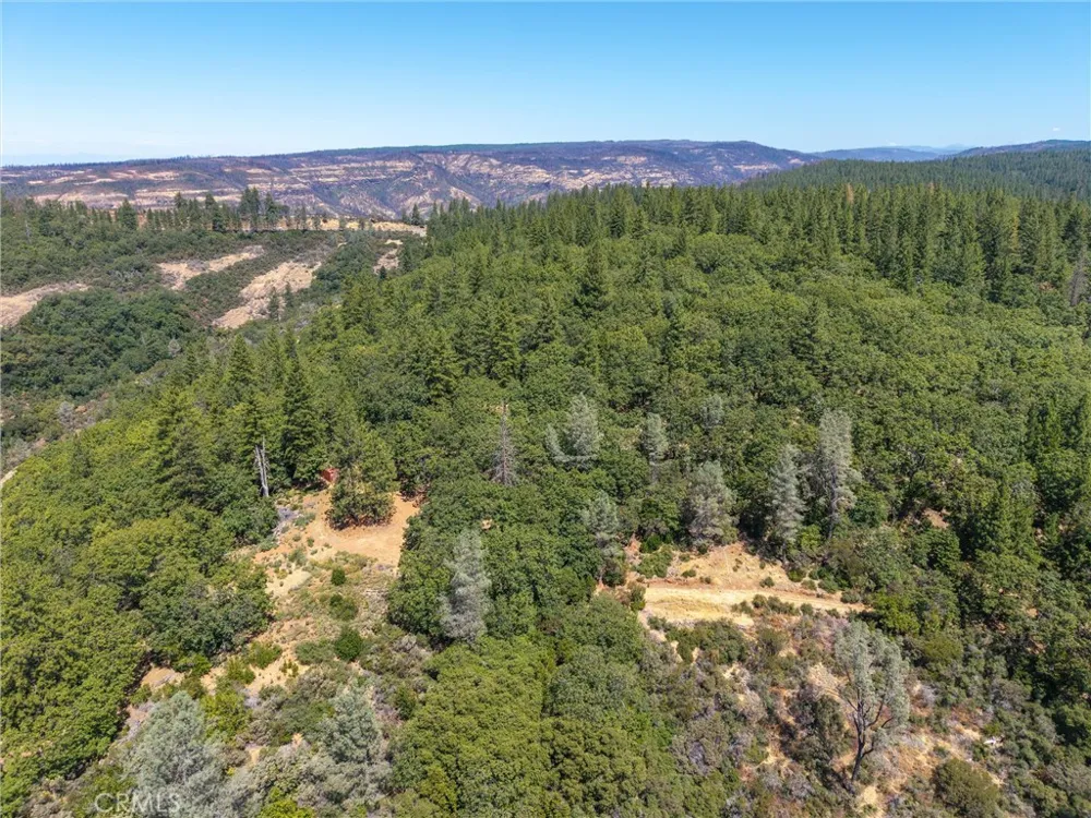 Knolls Forest Ranch, CA 95942