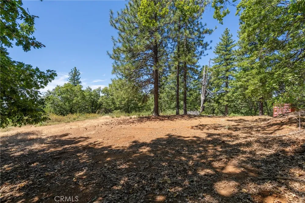 Knolls Forest Ranch, CA 95942