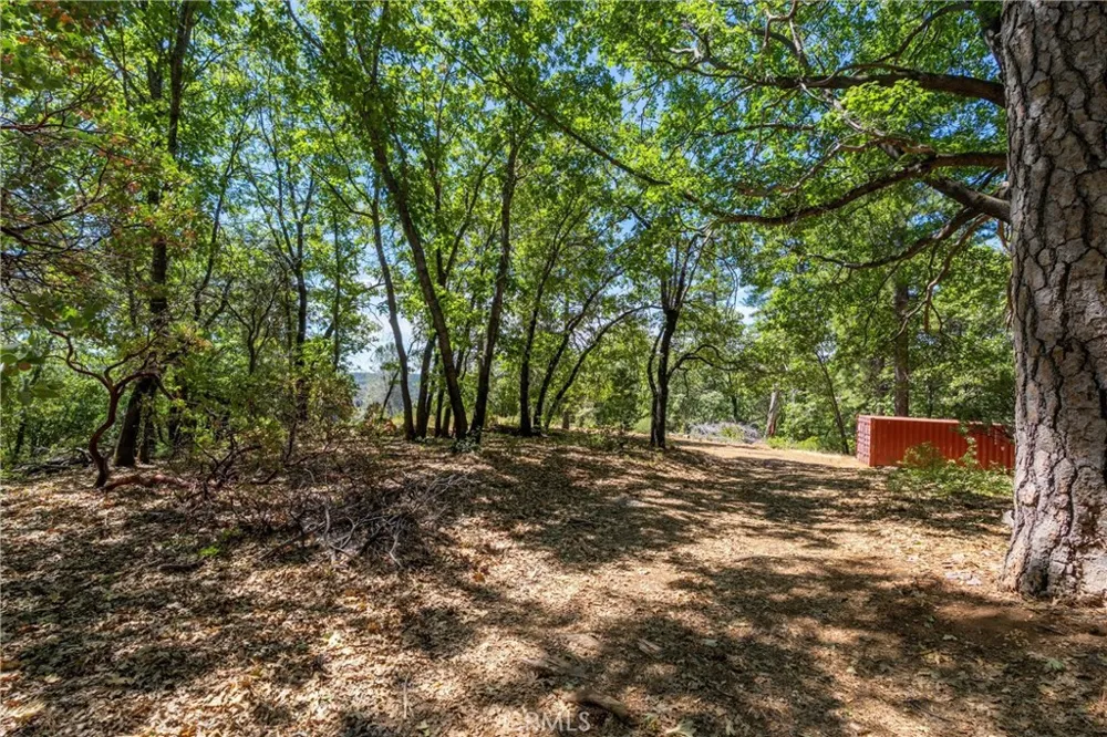 Knolls Forest Ranch, CA 95942