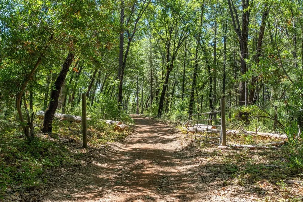 Knolls Forest Ranch, CA 95942