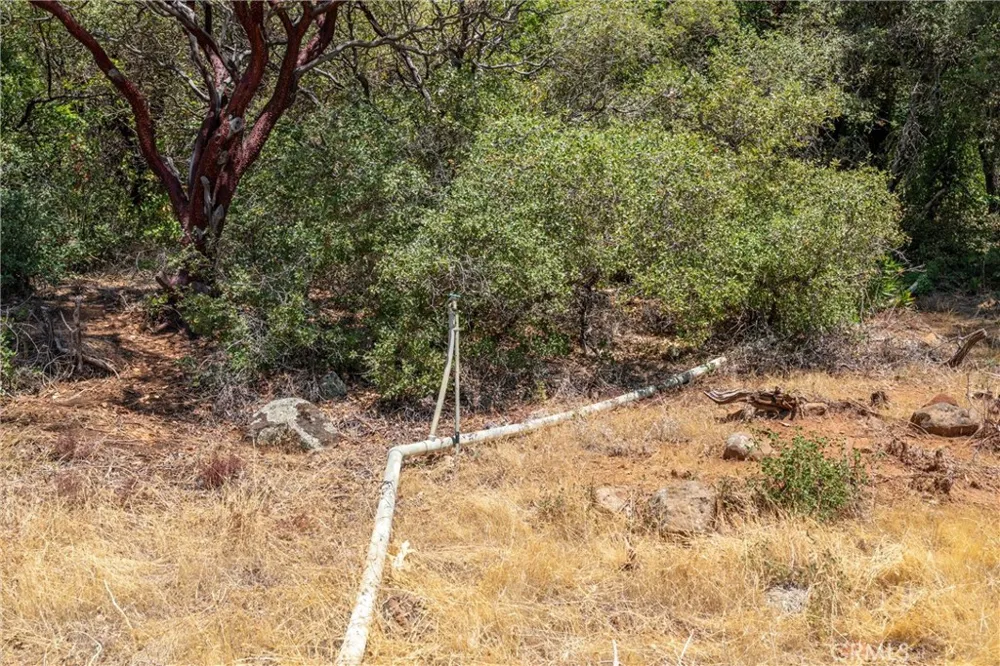 Knolls Forest Ranch, CA 95942