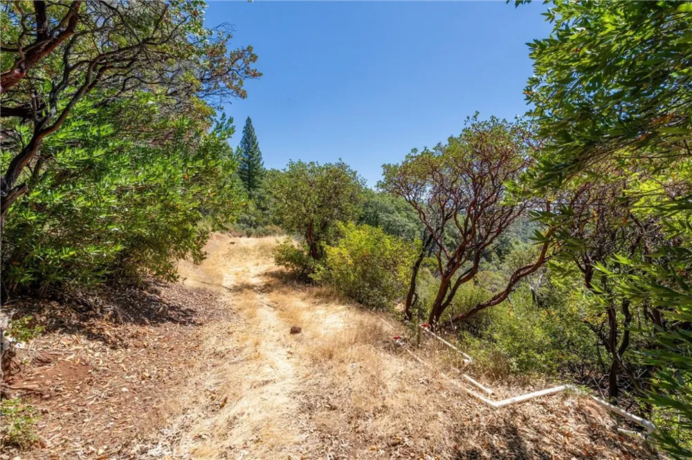 Knolls Forest Ranch, CA 95942