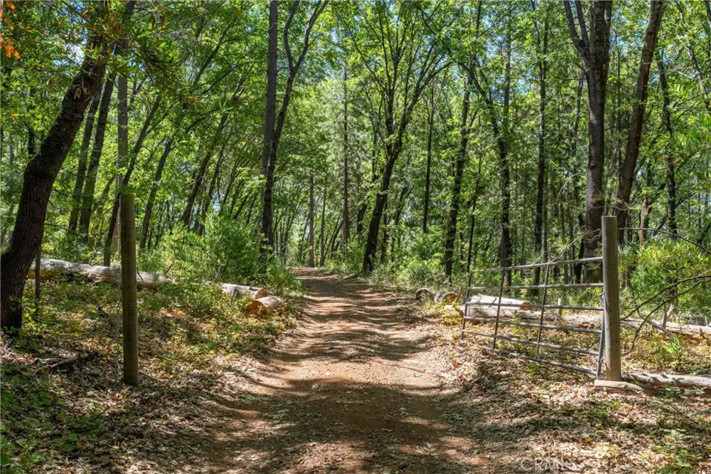 Knolls Forest Ranch, CA 95942