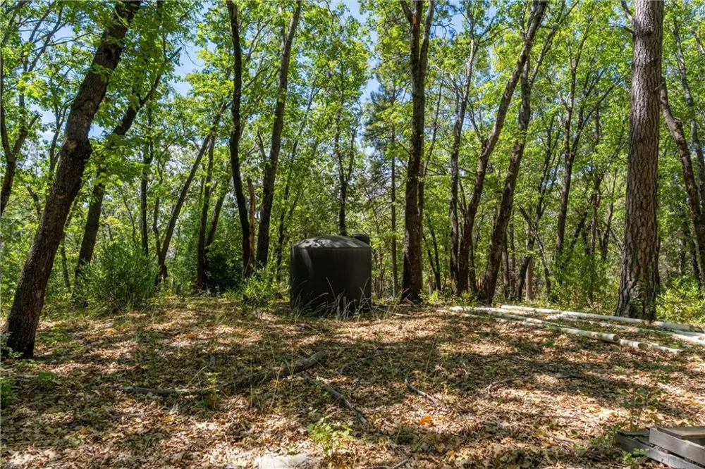 Knolls Forest Ranch, CA 95942