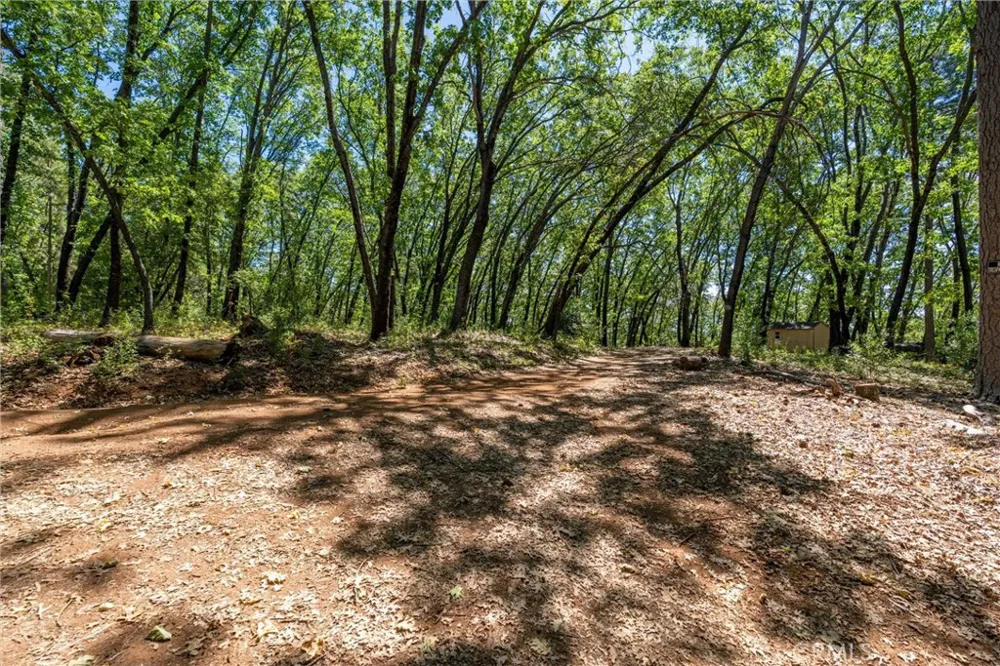 Knolls Forest Ranch, CA 95942