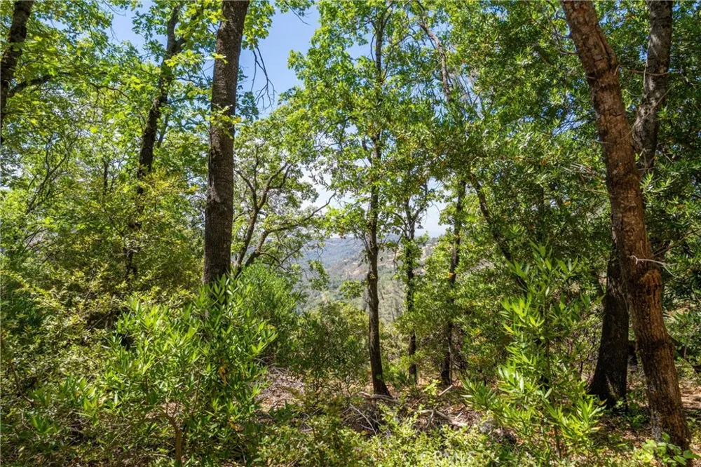 Knolls Forest Ranch, CA 95942