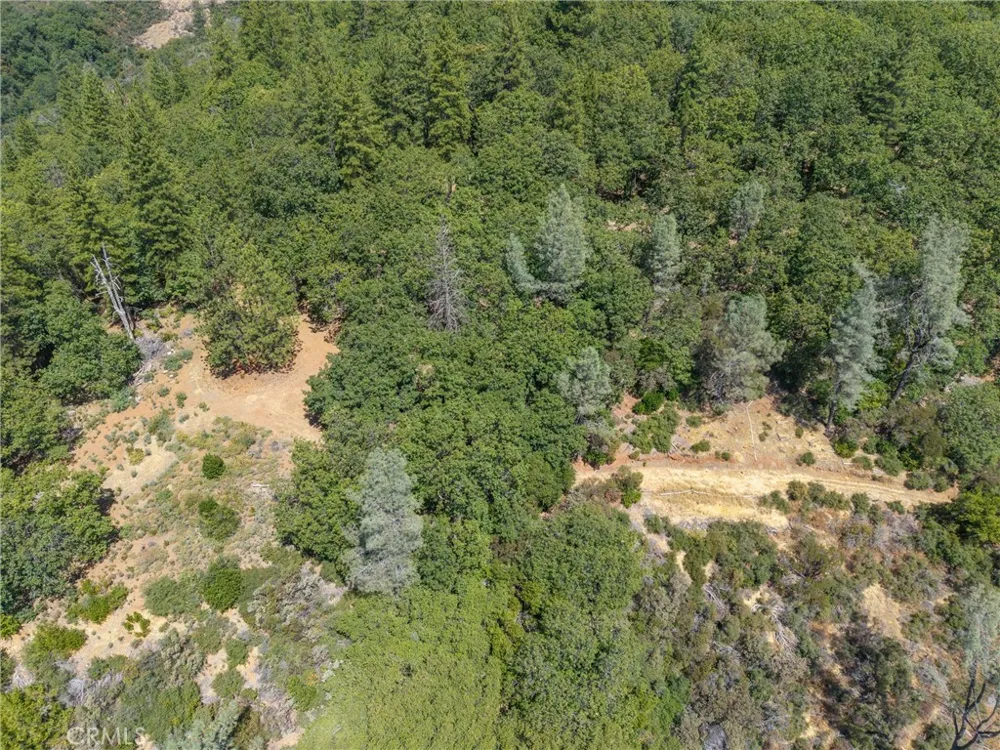 Knolls Forest Ranch, CA 95942