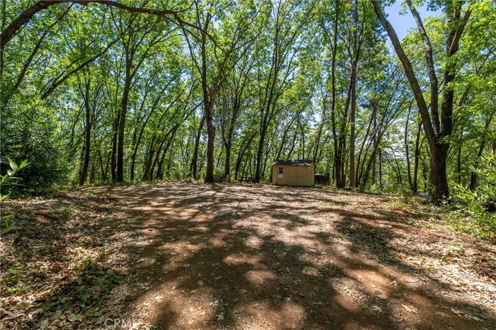 Knolls Forest Ranch, CA 95942