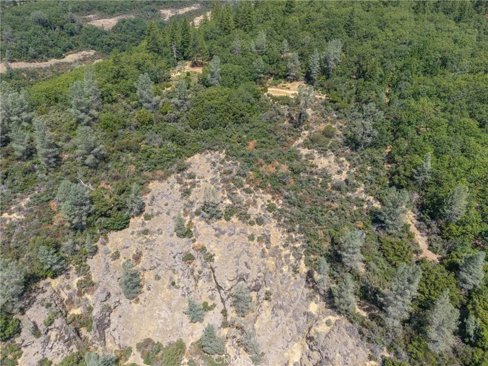 Knolls Forest Ranch, CA 95942