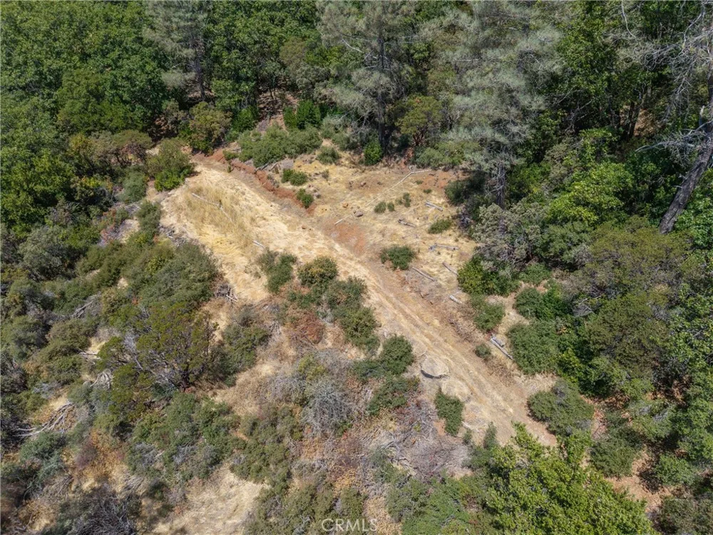Knolls Forest Ranch, CA 95942