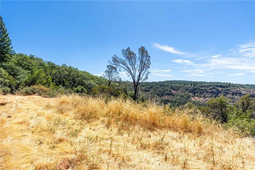 Knolls Forest Ranch, CA 95942