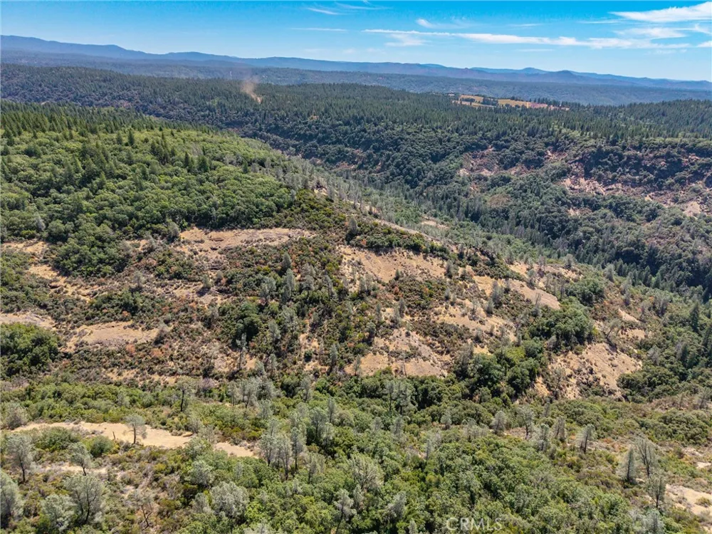 Knolls Forest Ranch, CA 95942