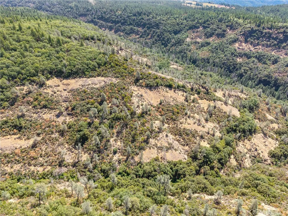 Knolls Forest Ranch, CA 95942
