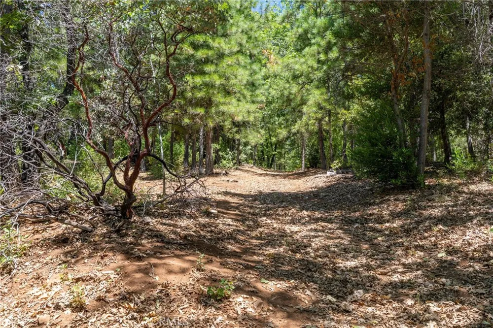 Knolls Forest Ranch, CA 95942
