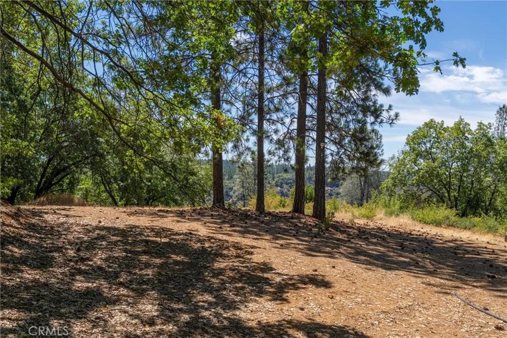 Knolls Forest Ranch, CA 95942
