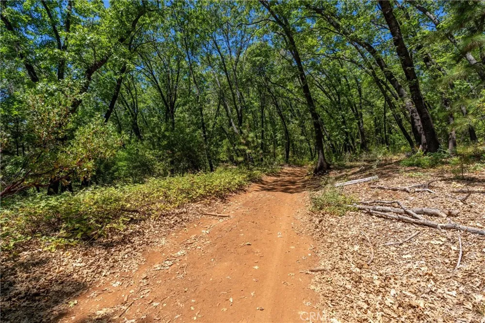Knolls Forest Ranch, CA 95942