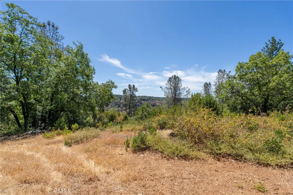 Knolls Forest Ranch, CA 95942
