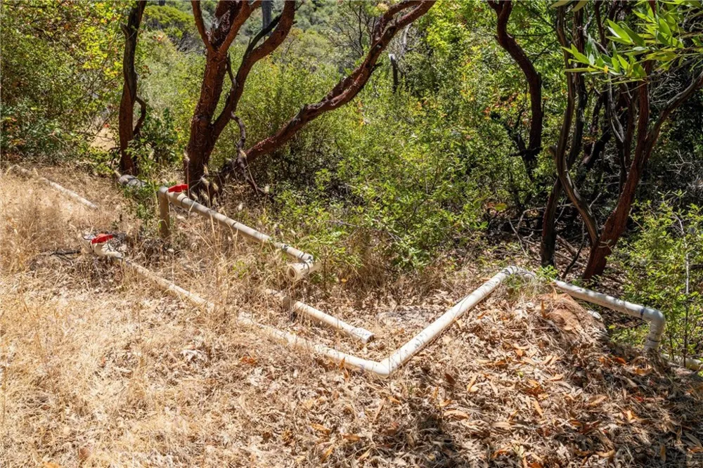 Knolls Forest Ranch, CA 95942