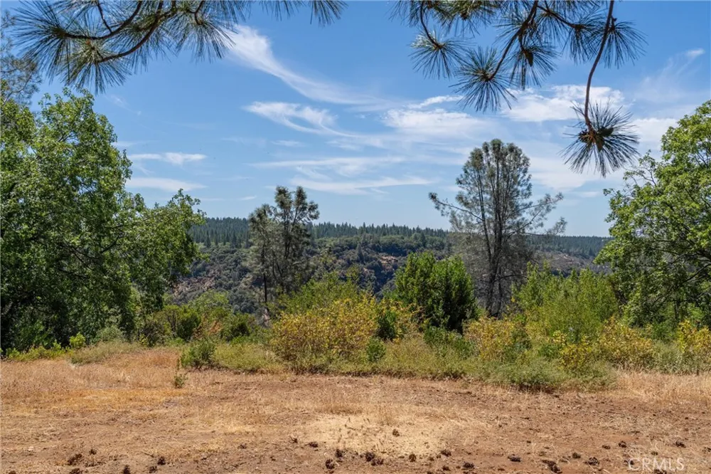 Knolls Forest Ranch, CA 95942