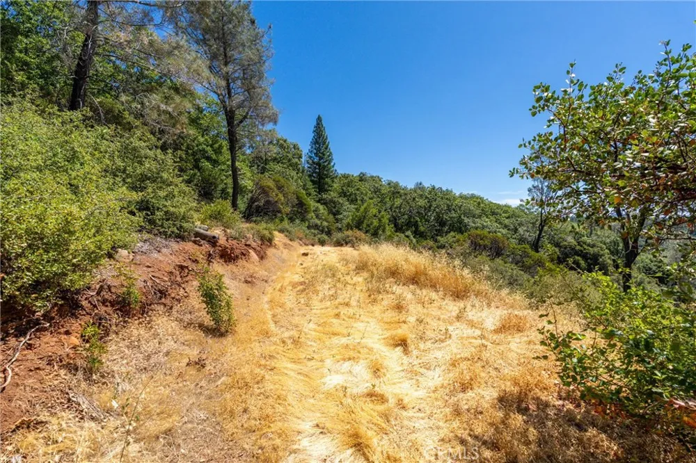 Knolls Forest Ranch, CA 95942