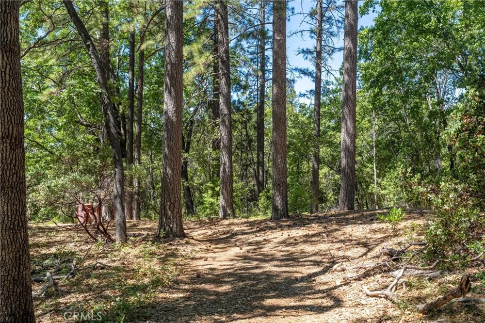Knolls Forest Ranch, CA 95942