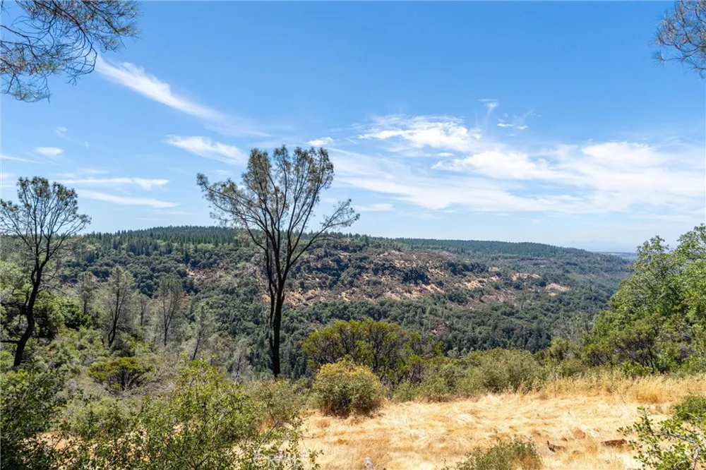 Knolls Forest Ranch, CA 95942