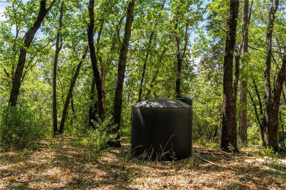Knolls Forest Ranch, CA 95942