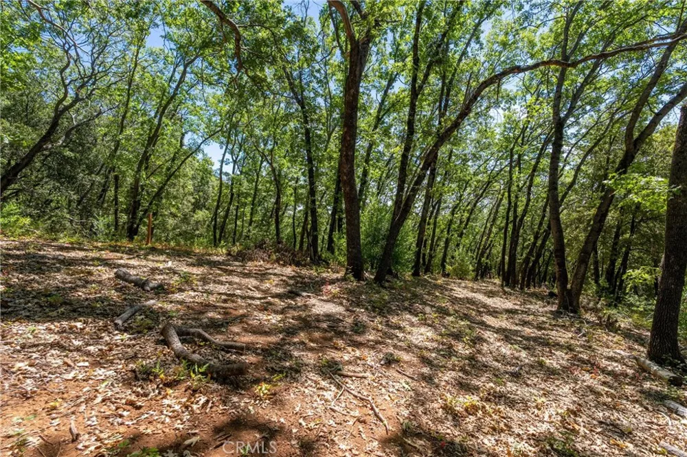 Knolls Forest Ranch, CA 95942