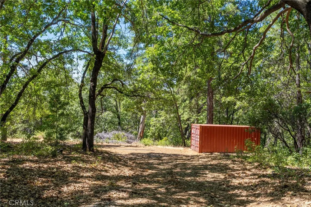 Knolls Forest Ranch, CA 95942