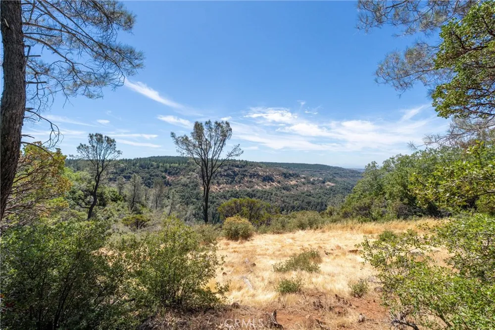 Knolls Forest Ranch, CA 95942