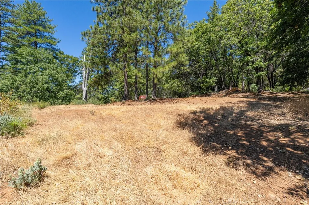 Knolls Forest Ranch, CA 95942
