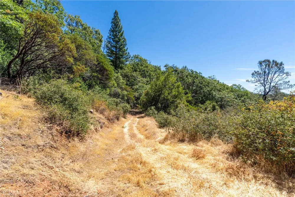 Knolls Forest Ranch, CA 95942