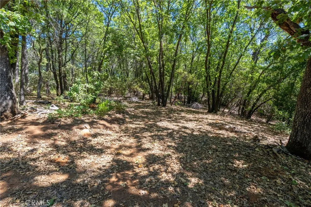 Knolls Forest Ranch, CA 95942