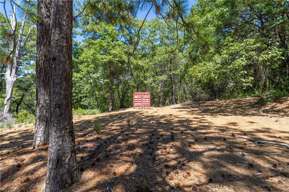 Knolls Forest Ranch, CA 95942