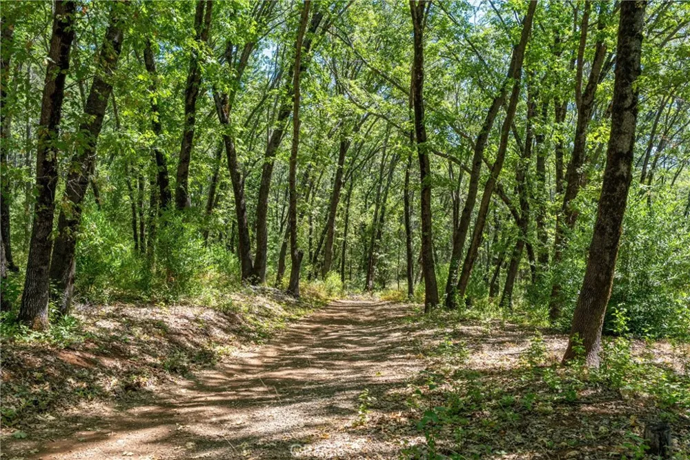 Knolls Forest Ranch, CA 95942
