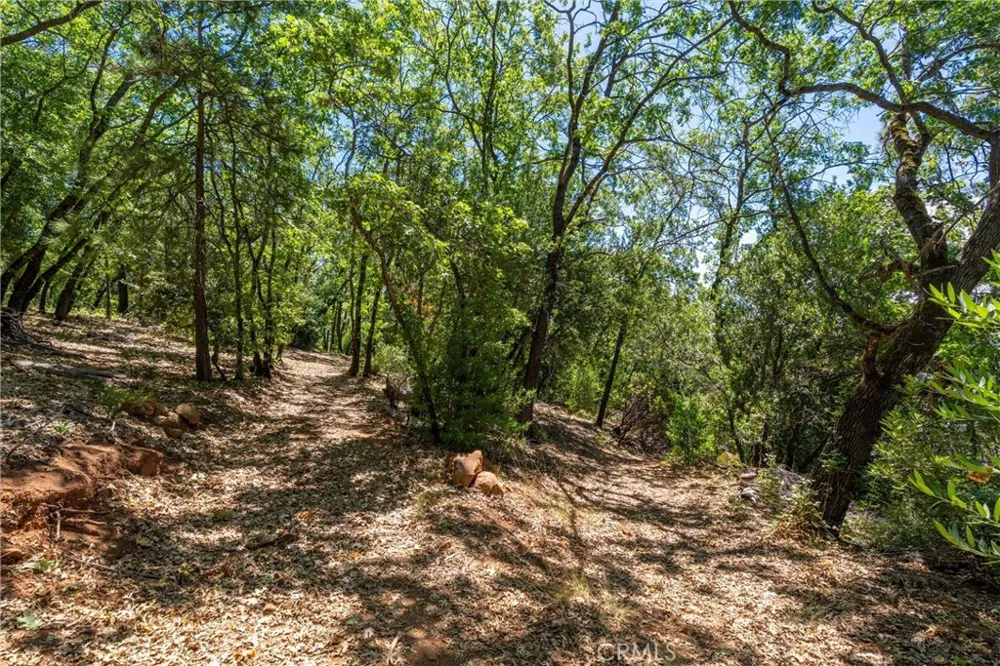 Knolls Forest Ranch, CA 95942