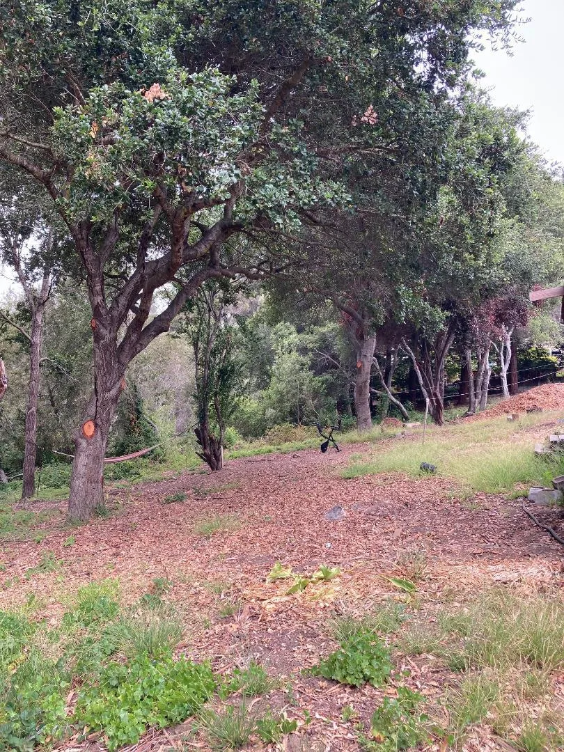 514 Meder Street Santa Cruz, CA 95060